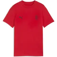 Puma T-Shirt Ftblessentials Ac Milan Enfant Et Adolescent, Vêtements, Rouge/Noir, 13-14y