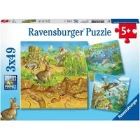 Ravensburger Les animaux dans leur habitat 08050