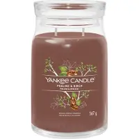 Yankee candle Praline & Birch bougie parfumée 567 g
