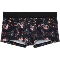 Hom Boxer court