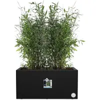 Elho Pot de Plante Rectangulaire Noir Elho Moderne | 78 cm Plastique