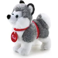 Trudi Husky