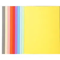 Exacompta Chemises FOREVER 180, DIN A4, couleurs assorties (A4, 100x)