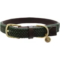 Kentucky Collier De Chien Nylon Plaited