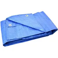 GEKO Bâche de protection BSD - Bâche de protection imperméable, bâche en tissu, bâche de protection - légère - bleue - 50g/m ? - 8x10m