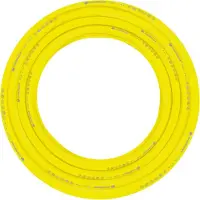 Cellfast Tuyau de jardin - CELL-FAST - PLUS 3/4'' 60MB (C10-770) - 60 m - Armature croisée 3 couches - Résistant UV anti-algues