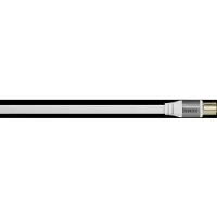 Avinity Prise coaxiale mâle - prise coaxiale femelle 5 m (110 dB, Câble d'antenne)