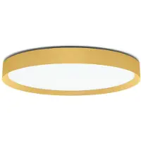 Lombardo Flo T 500 Plafonnier 1-10V | Push | Dali | Gold | 2700K IP20 Ampoule Incluse