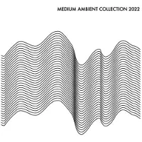 Bertus Distributie Various Artists - Medium Ambient Collection 2022 White / Various [Vinyl Lp]