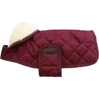 Kentucky Original Dog Jacket Violet 39-43 cm