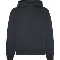 Didriksons Sweatshirt à capuche enfant Ven