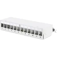 Digitus Panneau de brassage de bureau, 12 ports, Serveur : accessoires, Gris