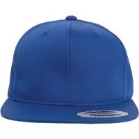 Flexfit Chapeau 'Pro-Style'