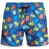 Blackspade Shorts de bain 'Summer Prints' bleu / vert clair / orange