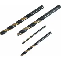 AWTOOLS AW-Tools AWTools gręžinys HSS M2 PREMIUM 75MM/10SZT. AW41875 AWTOOLS GRĘŽINYS (75 millimètres)