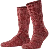 Falke Homme FALKE Unicolore