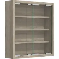 VCM Bois verre suspendu vitrine murale collectionneur vitrine Agisa S Bois verre suspendu vitrine murale collectionneur vitrine Agisa S