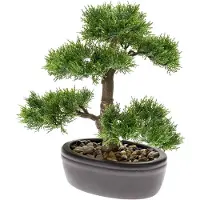 Driesprong Collection Bonsaï de cèdre artificiel Vert 32 cm 420001