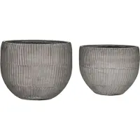 House Doctor Plants | Hdbrave | Gris | 206560011