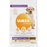 IAMS Puppy Large au poulet pour chiot