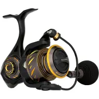 Penn Moulinet Spinning Authority Hs