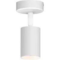 Livolo Plafond Light atmosphérique pour chaque pièce réglable de pièce