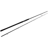Westin W2 Powercast Spinning Rod Argenté 2.48 m / 20-80 g