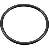 FEBI BILSTEIN 100165 O-ring