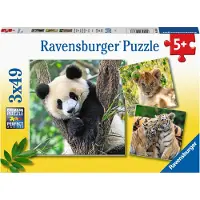 Ravensburger Puzzle Panda, Tigre et Lion, 3x49pcs.