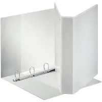 Esselte Classeur à anneaux de présentation Esselte Standard, A4 grande largeur, blanc 4 anneaux en D (A4, 63 mm, 1 pcs)