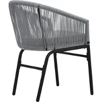 vidaXL Chaises de jardin 2 pcs. Anthracite rotin PE