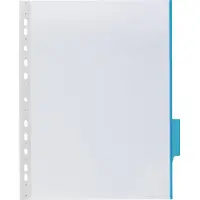 Durable plaque pochette FUNCTION, format A4, transparent