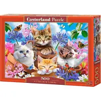 Castorland Puzzle 500 pièces Chatons avec Fleurs 53513