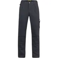Storvik Ben pantalon de travail de service gris