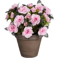 Mica Decorations Azalée plante artificielle rose en pot H31