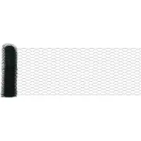 vidaXL Clôture en fil de fer soudé 50 x 0,6 m (L x H)