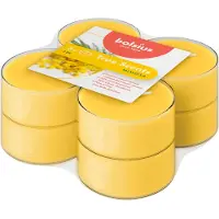Bolsius Maxilichten Clear Cup 8U Wahre Düfte Mimosa