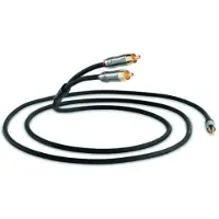 QED Performance Audio J2P Graphite 3,5 mm - RCA Câble 1,5 m