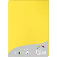 Pollen Clairefontaine Pollen - Jaune intense - A4 (210 x 297 mm) - 210 g/m² - 25 feuille(s) papier coloré