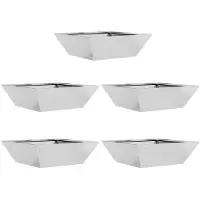 vidaXL Cache-pot de jardin 5 pcs Argent 50 x 50 x 15 cm
