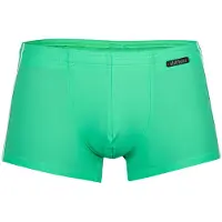 Olaf Benz Shorts de bain ' BLU1200 Beachpants ' vert clair
