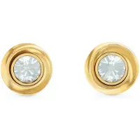 Calvin Klein Boucles d'oreilles or / transparent