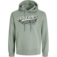 Jack & Jones Logo 2 Col Hoodie Vert S Homme