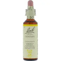 Bach Elixirs Flower Gentiane 20 ml