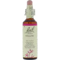 BACH ORIGINAL Elixirs Flower Saule 20 ml