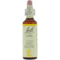 BACH ORIGINAL Elixirs Flower Ajonc 20 ml