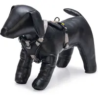 Beeztees Harnais en Y pour chien Parinca en nylon premium, gris clair