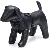 Beeztees Harnais Pour Chien Premium Parinca Y
