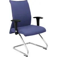 Piqueras Y Crespo Albacete Confidente Office Fixed Chair Bleu