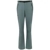 Regatta Xert Stretch Iii Pants Gris 30 / Short Homme
